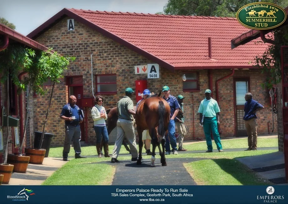bloodstock-south-africa-tba