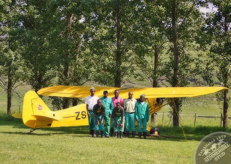 1946 Piper Cub 17