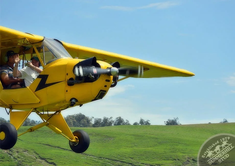 1946 Piper Cub 19
