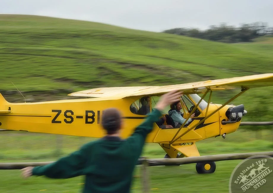 1946 Piper Cub 2