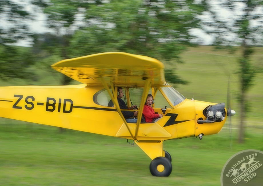 1946 Piper Cub 5