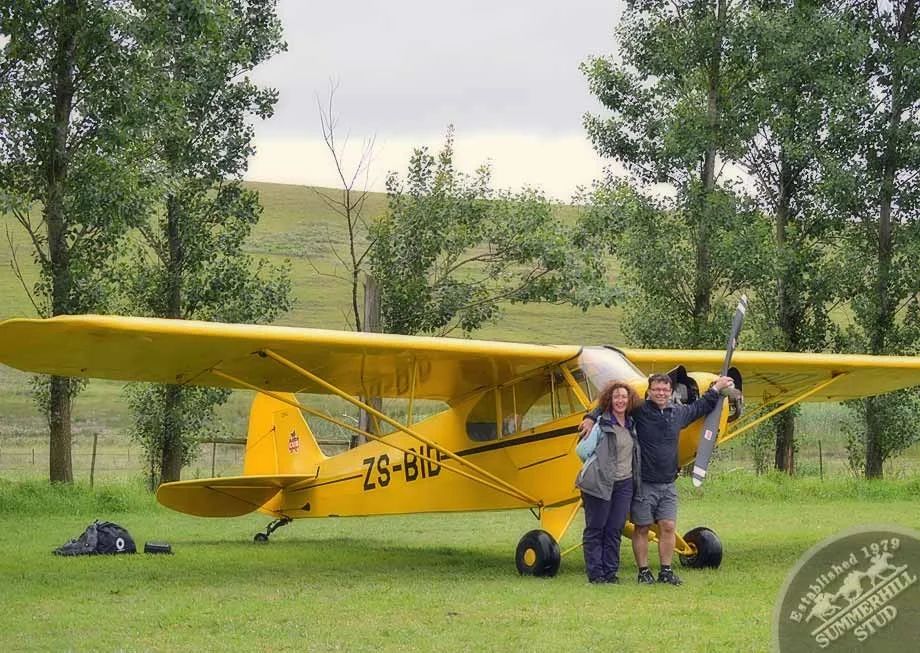 1946 Piper Cub 4