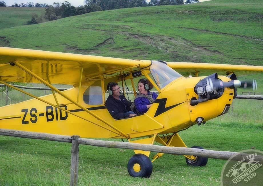 1946 Piper Cub 16