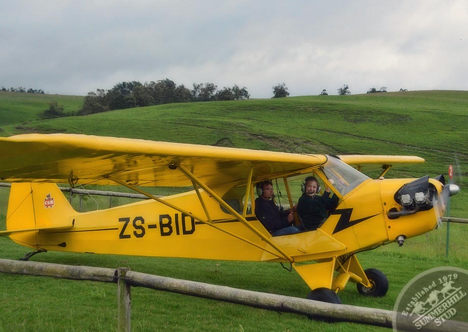 1946 Piper Cub 15