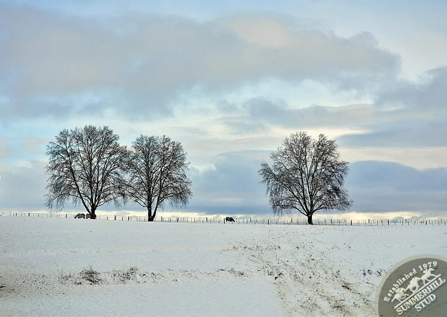 kzn-midlands-snow-2012-53.jpg