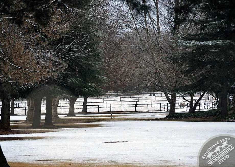 kzn-midlands-snow-2012-2-.jpg