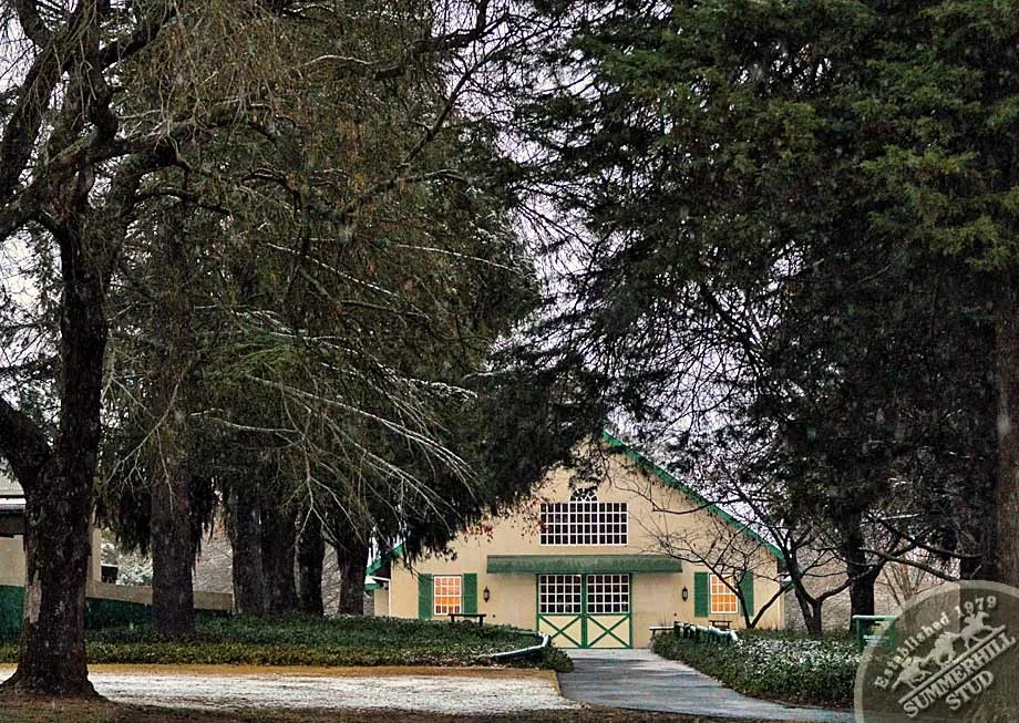 kzn-midlands-snow-2012-1-.jpg