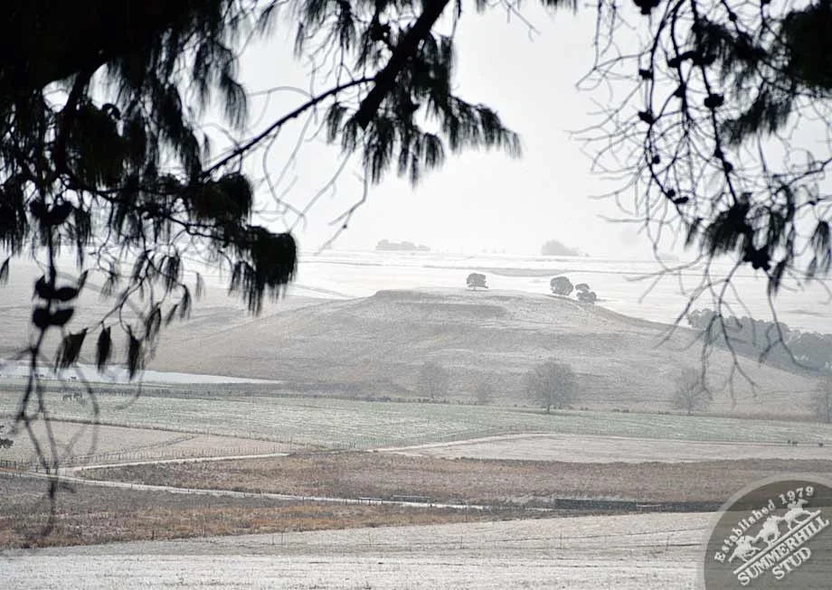 kzn-midlands-snow-2012-6.jpg