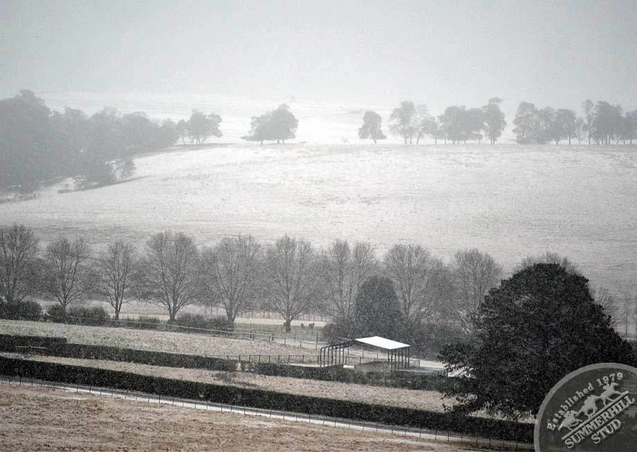kzn-midlands-snow-2012-8.jpg