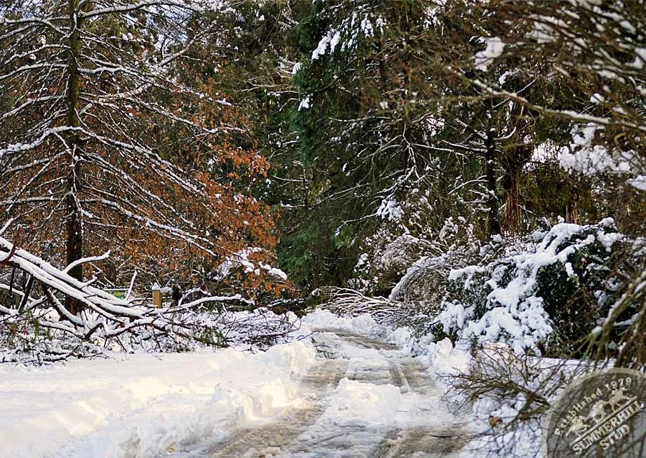 kzn-midlands-snow-2012-62.jpg