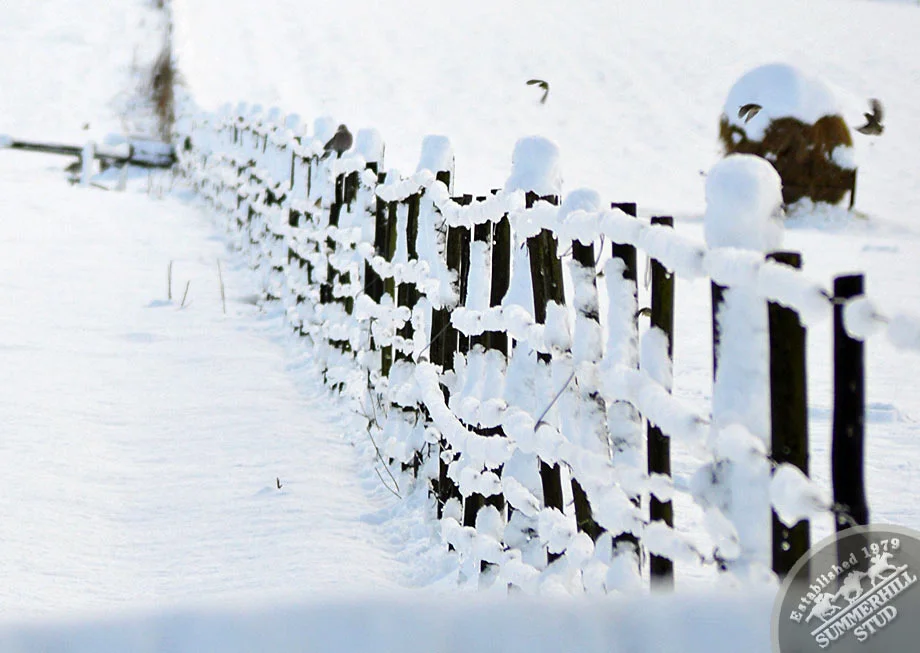 kzn-midlands-snow-2012-58.jpg