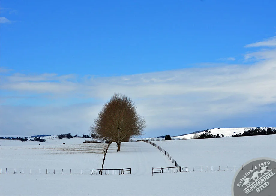 kzn-midlands-snow-2012-74.jpg