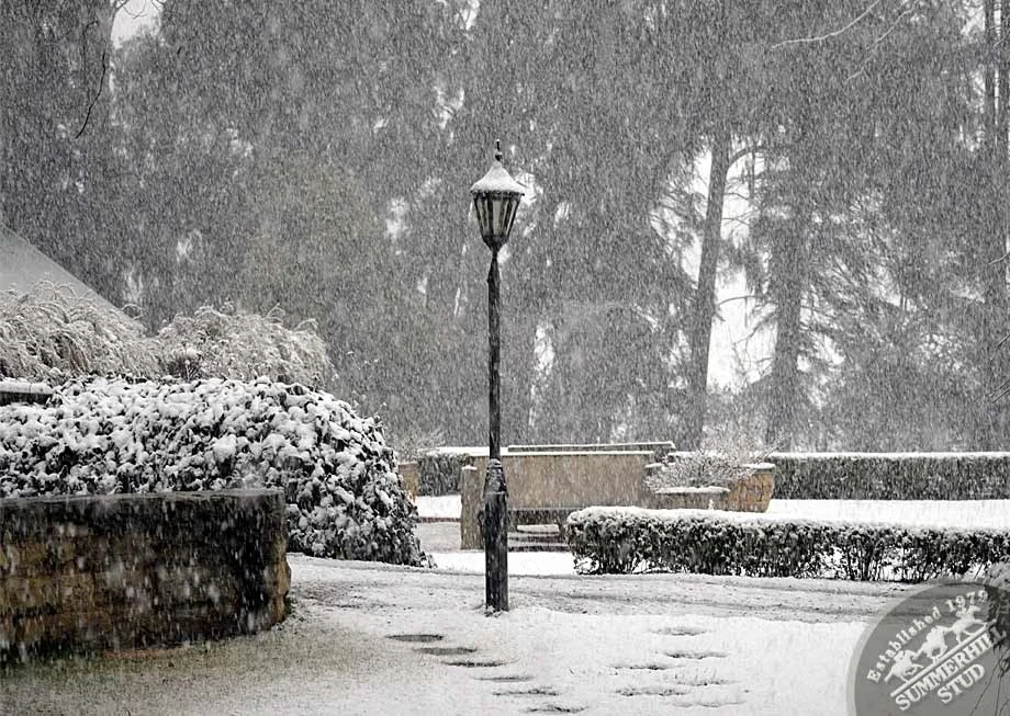 kzn-midlands-snow-2012-20.jpg