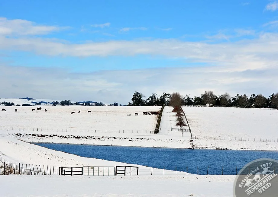 kzn-midlands-snow-2012-75.jpg