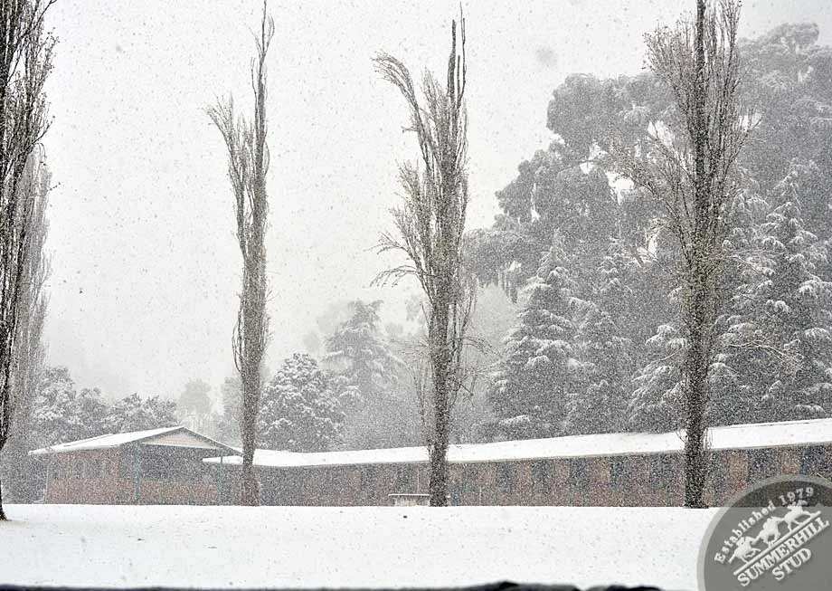 kzn-midlands-snow-2012-30.jpg