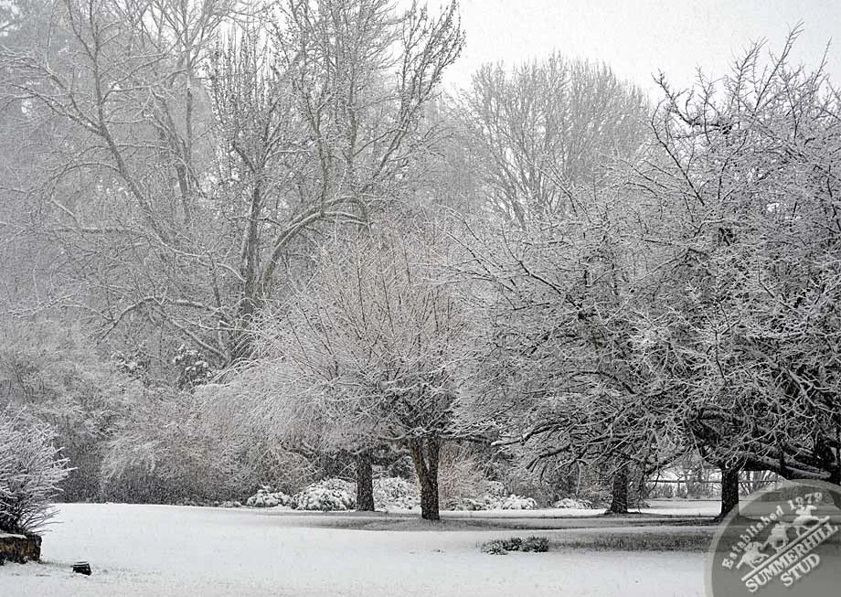 kzn-midlands-snow-2012-26.jpg