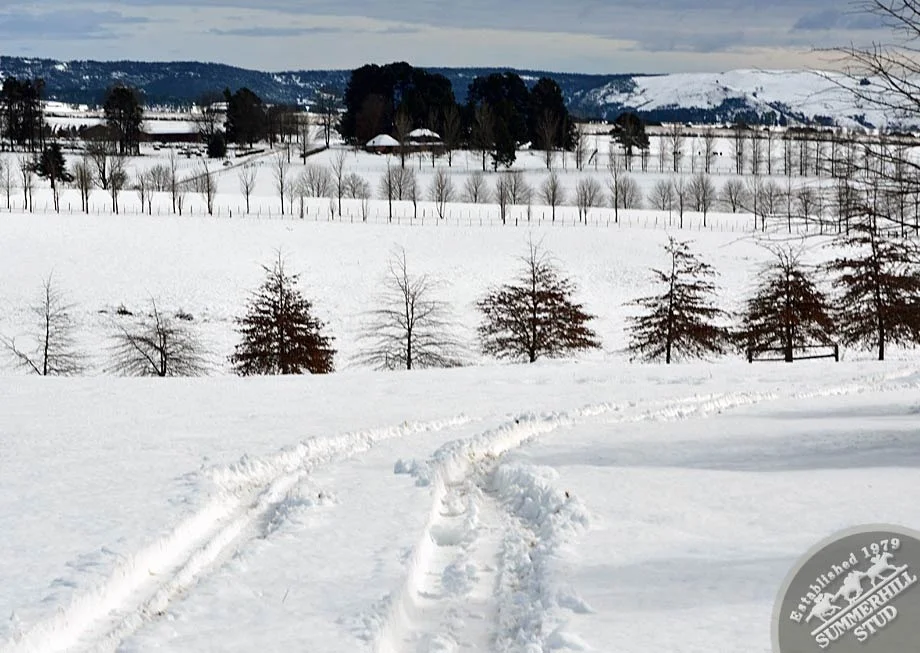kzn-midlands-snow-2012-82.jpg