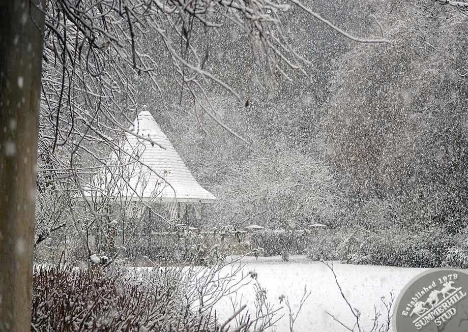 kzn-midlands-snow-2012-24.jpg