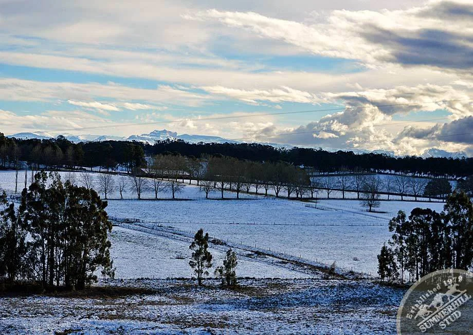 kzn-midlands-snow-2012-83.jpg