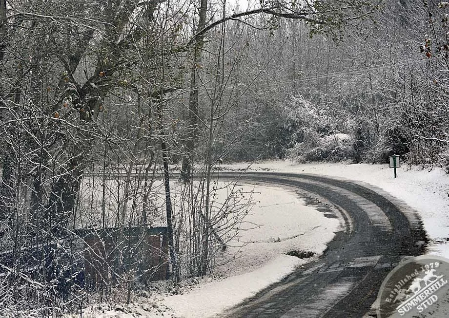 kzn-midlands-snow-2012-33.jpg