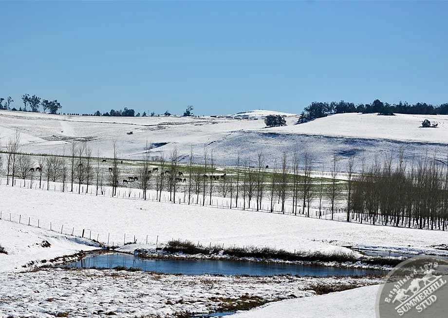 kzn-midlands-snow-2012-94.jpg