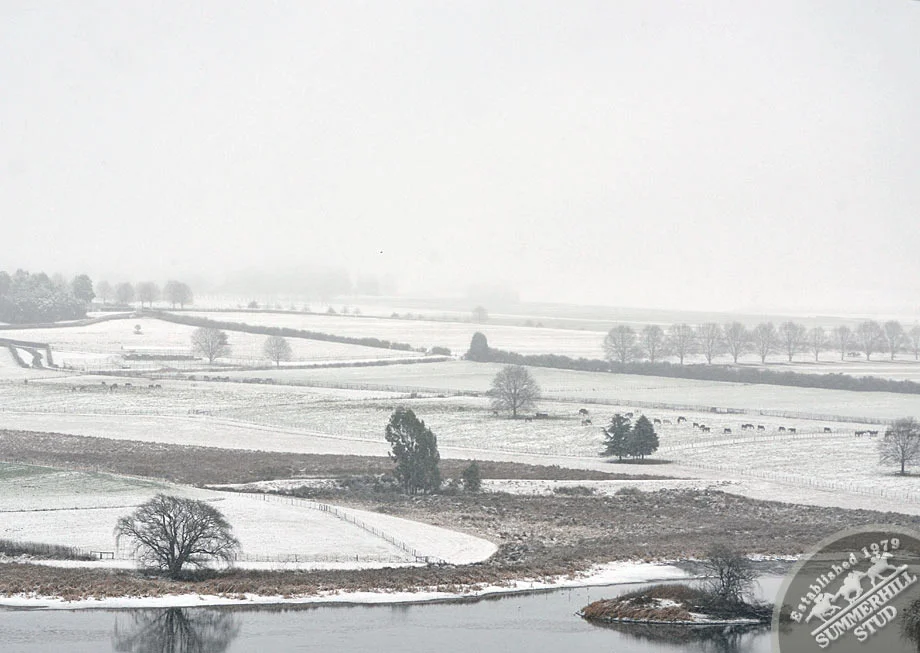 kzn-midlands-snow-2012-37.jpg