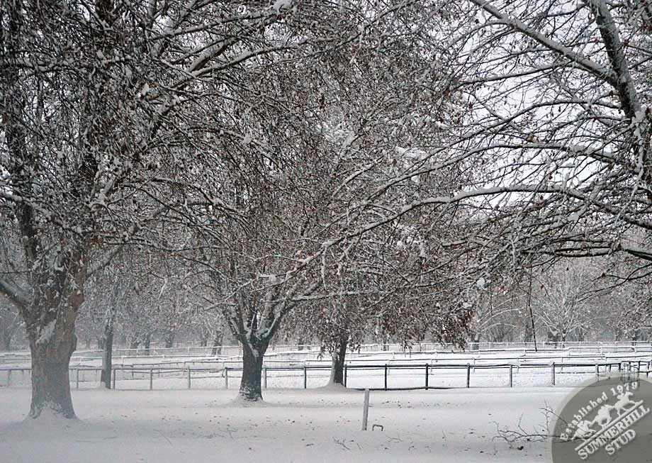 kzn-midlands-snow-2012-47.jpg