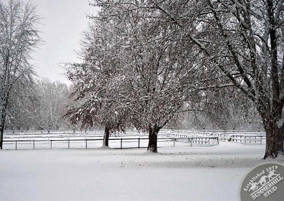 kzn-midlands-snow-2012-48.jpg
