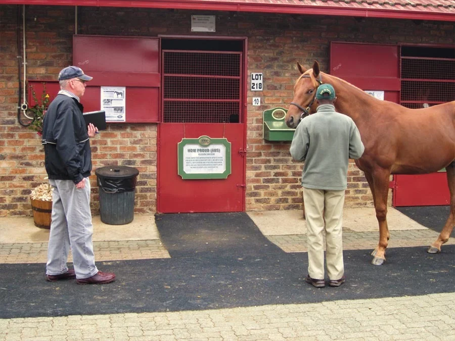 NYS TBA Sales Complex 25-4-12 17