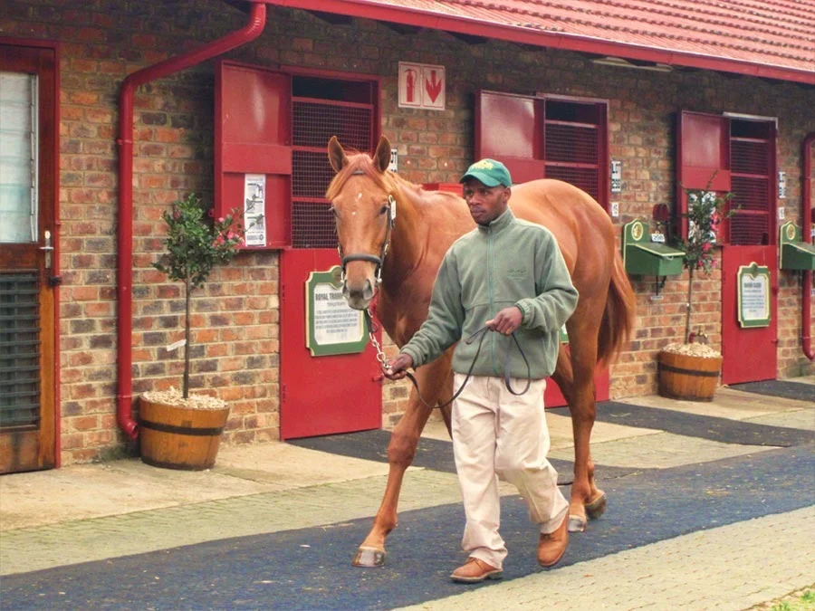 NYS TBA Sales Complex 25-4-12 15