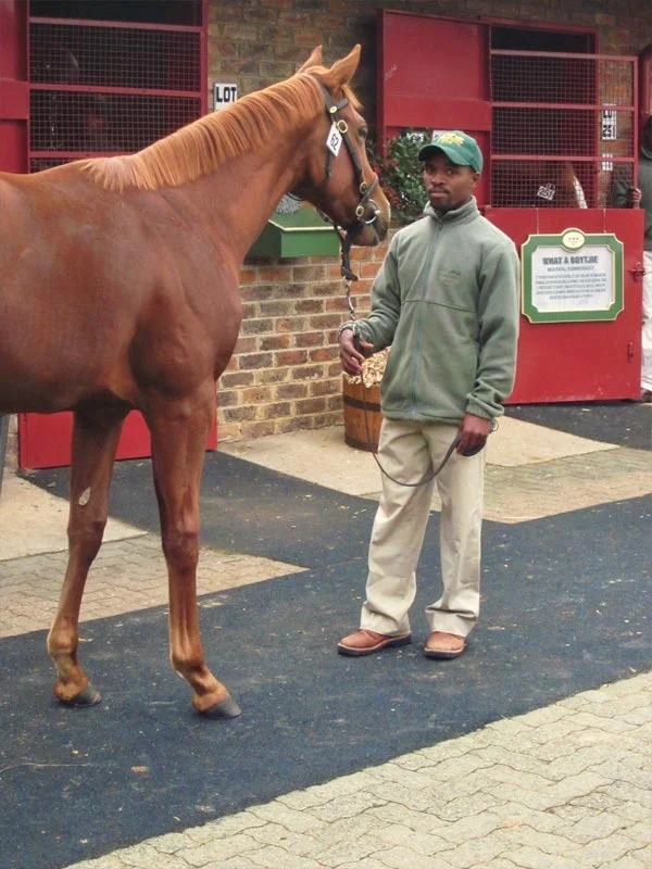NYS TBA Sales Complex 25-4-12 22