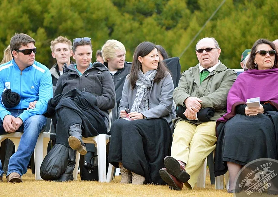 investec-stallion-day-2012-18.jpg