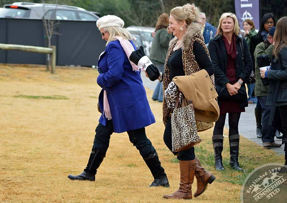 investec-stallion-day-2012-17.jpg