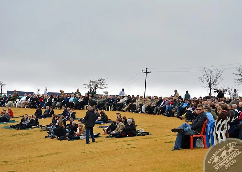 investec-stallion-day-2012-12.jpg