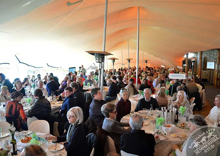 investec-stallion-day-2012-74.jpg