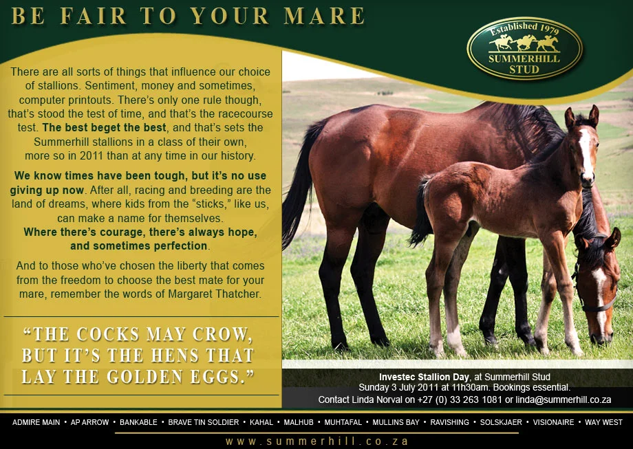 YOUR BROODMARES - INVESTEC STALLION DAY