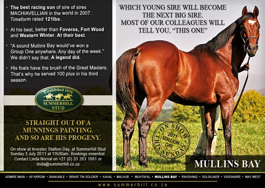 MULLINS BAY - INVESTEC STALLION DAY