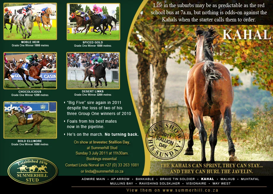 KAHAL - INVESTEC STALLION DAY