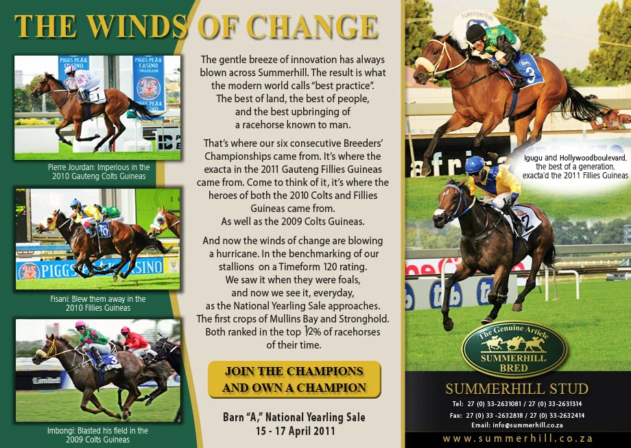 NATIONAL YEARLING SALE - BARN A