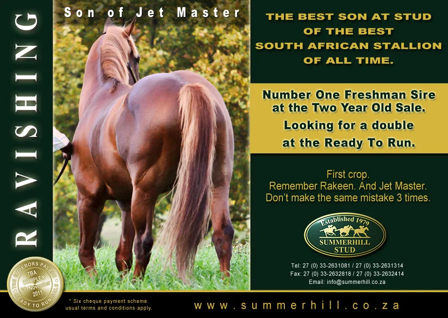 RAVISHING. SON OF JET MASTER