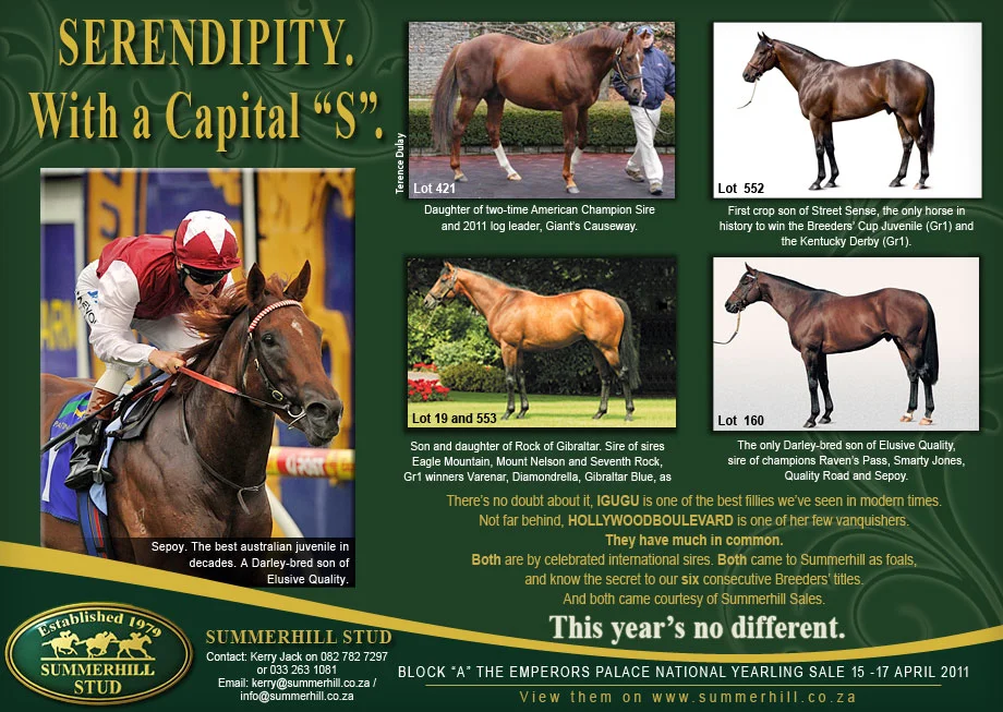 BLOCK "A" - NATIONAL YEARLING SALE