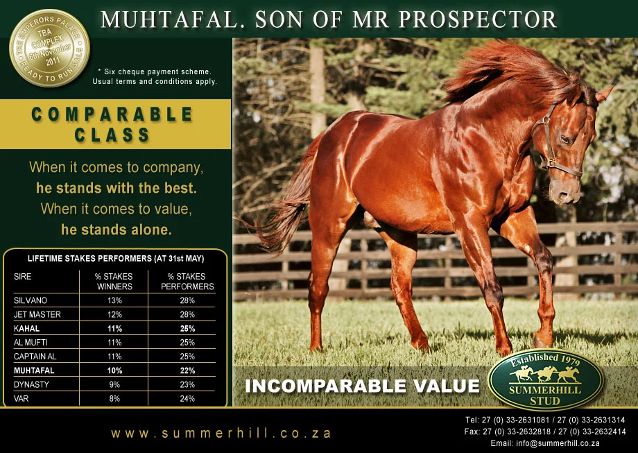 MUHTAFAL. SON OF MR PROSPECTOR