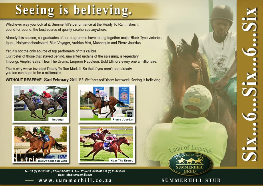 QUALITY RACEHORSE SALE