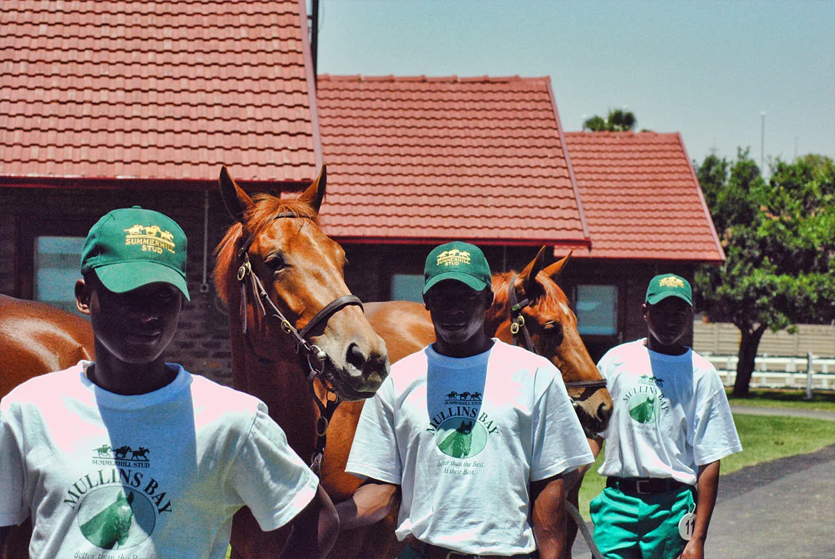 horses-and-grooms.jpg