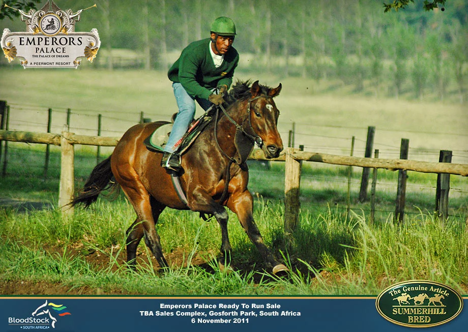 summerhill-ready-to-run-draft-8