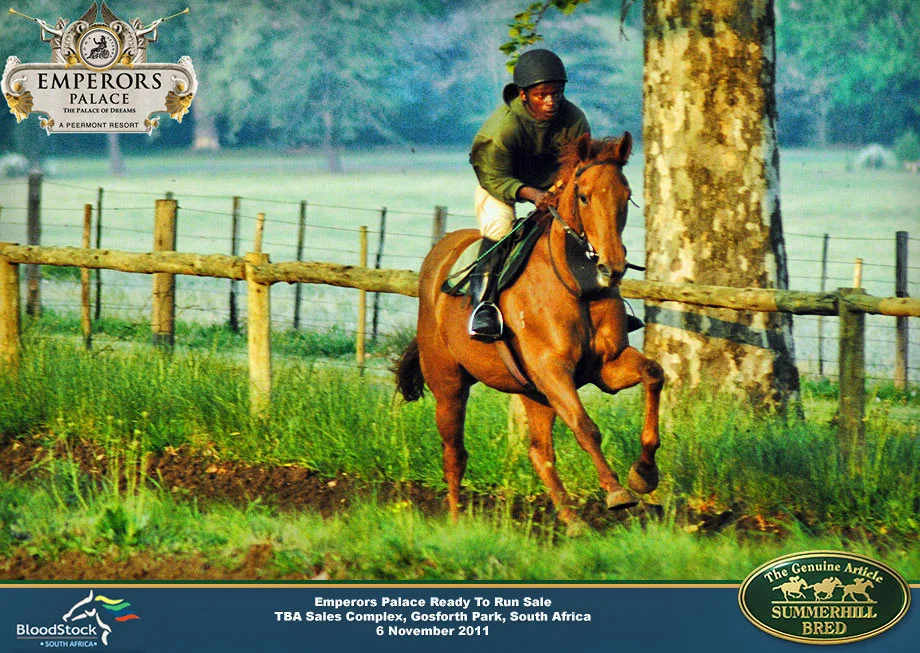 summerhill-ready-to-run-draft-15