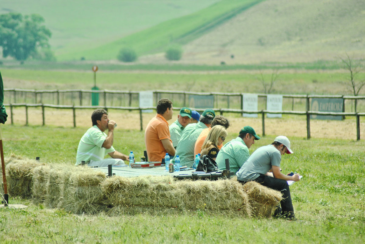 ready-to-run-gallops-11.jpg
