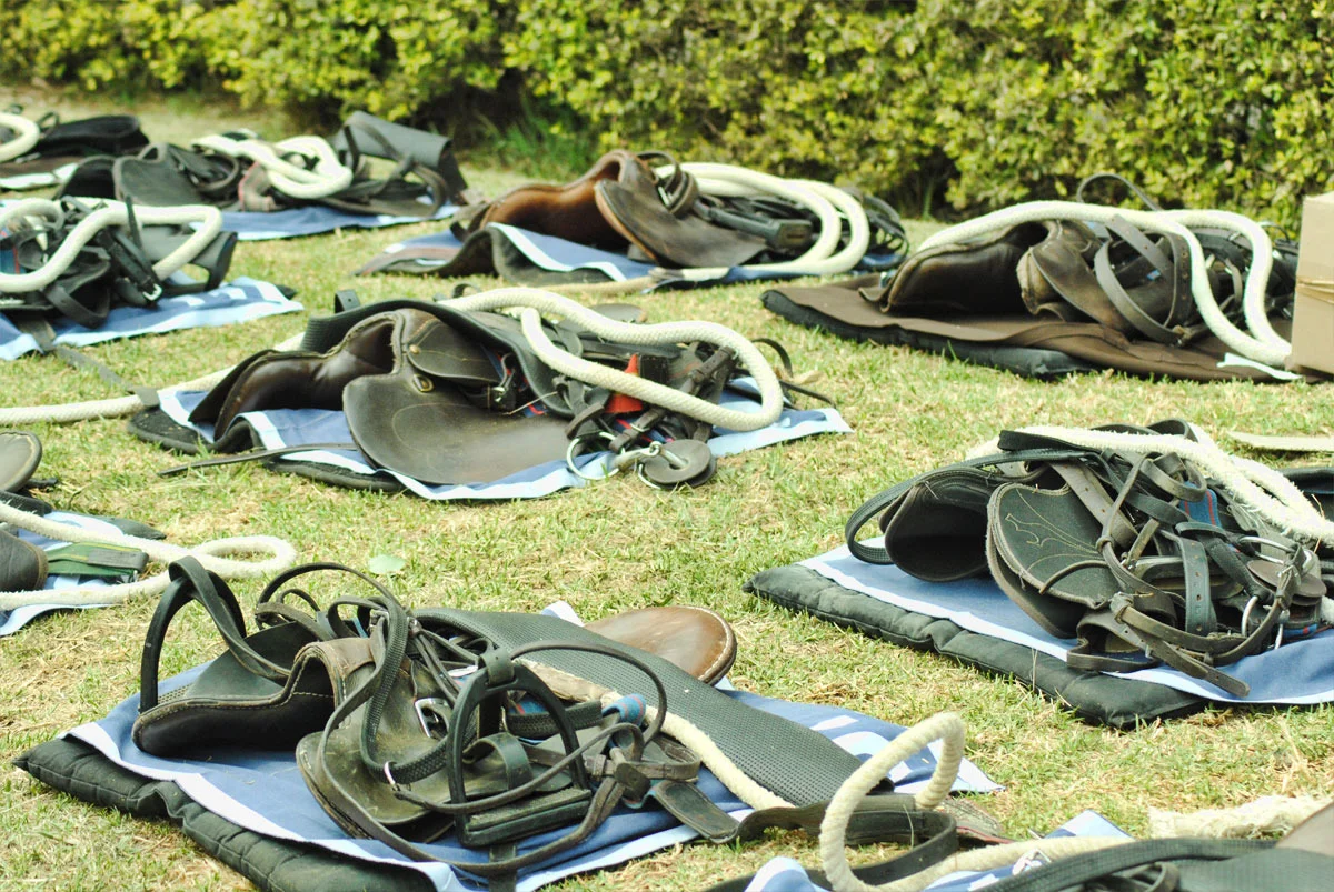 saddles.jpg