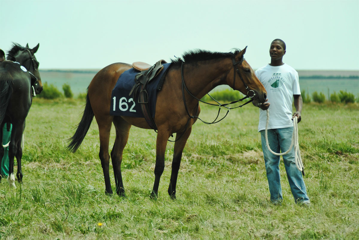 ready-to-run-gallops-50.jpg