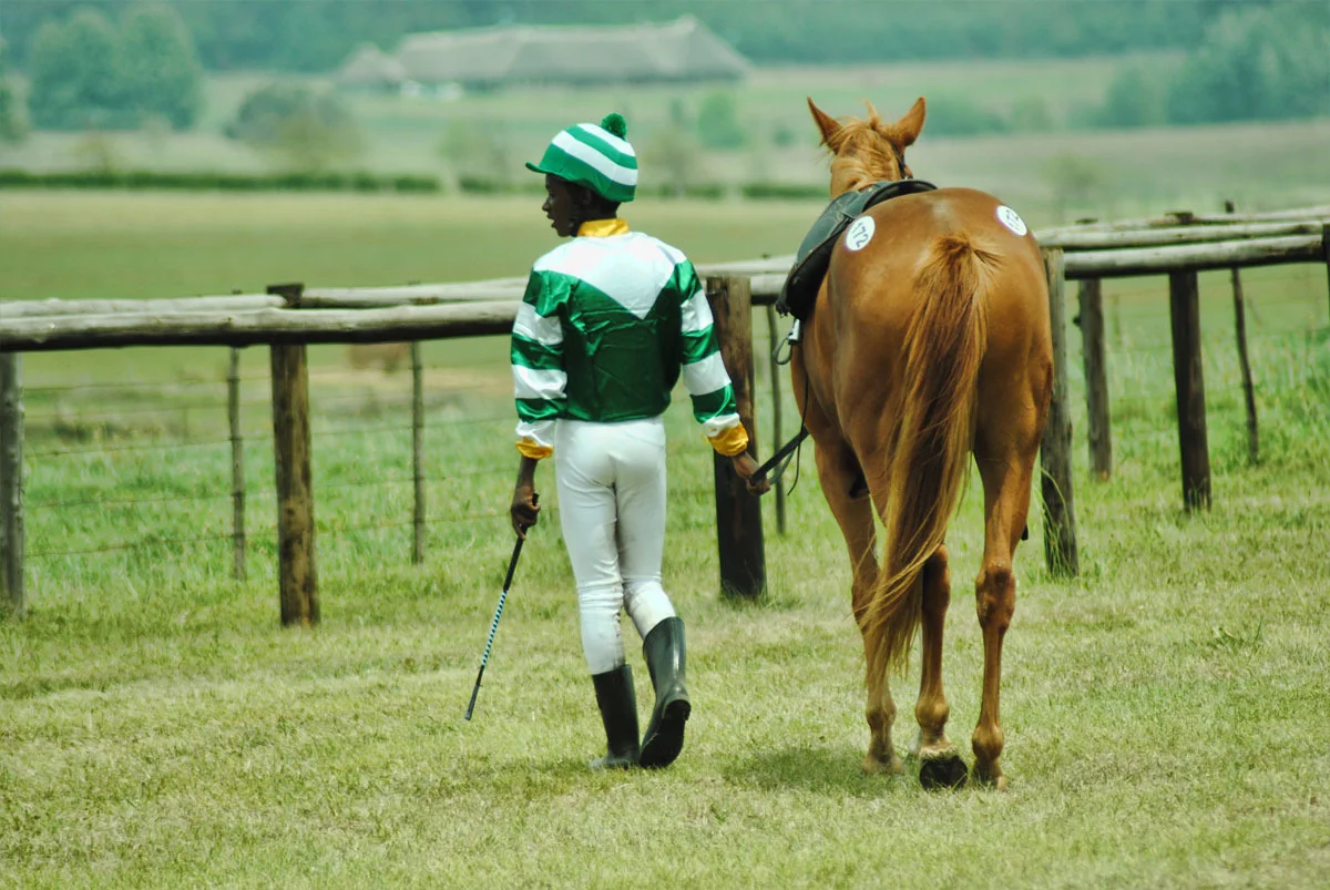 ready-to-run-gallops-45.jpg